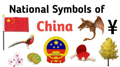 代表物|请问，大家认为什么是中国的象征（the symbol of。